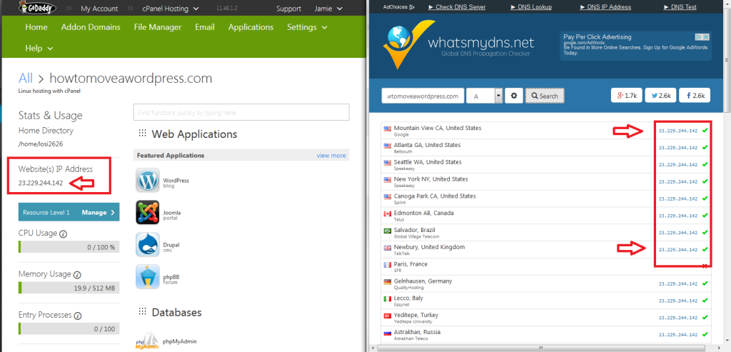 find your website IP address